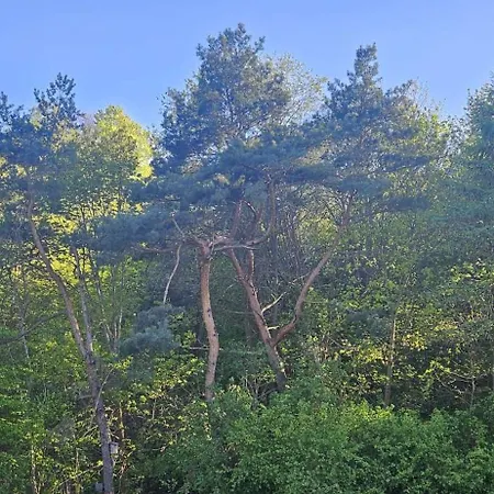Nubira Wzgorze Lägenhet *
