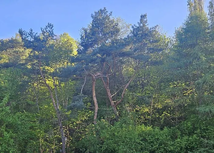 Nubira Wzgorze Appartement *